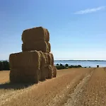 Dom wakacyjny Overlooking South Funen Archipelago Fåborg