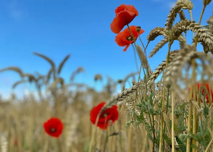 Overlooking South Funen Archipelago *